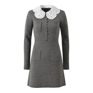 Ivy Knit Mini Dress Winteres