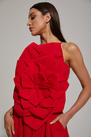 Assia Long Dress Winteres