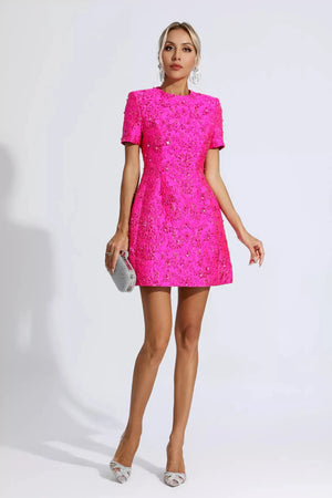 Finicia Jacquard Mini Dress Winteres