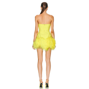Livia Mini Dress Winteres