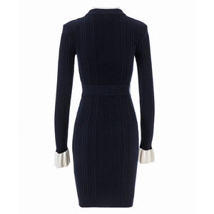 Isabella Knit Mini Dress Winteres