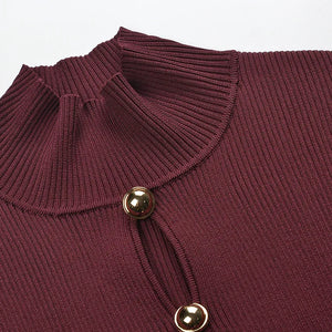 Elegant Turtleneck Knit Top Winteres