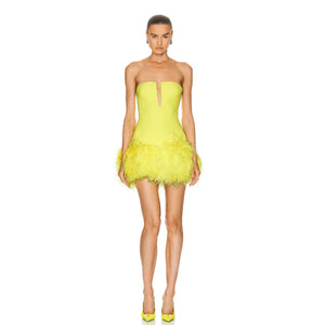 Livia Mini Dress Winteres