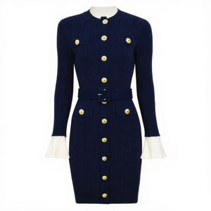Brigitte Knit Mini Dress Winteres