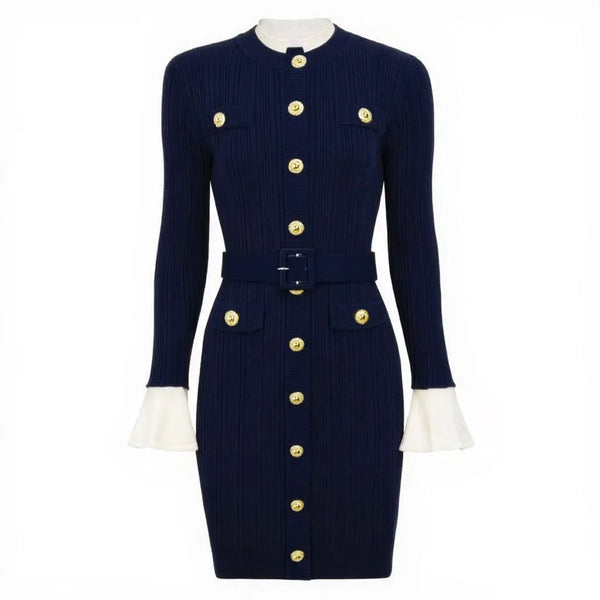Brigitte Knit Mini Dress Winteres