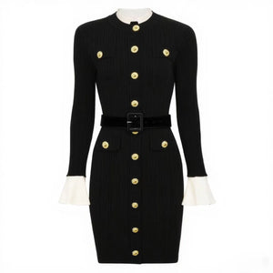 Brigitte Knit Mini Dress Winteres