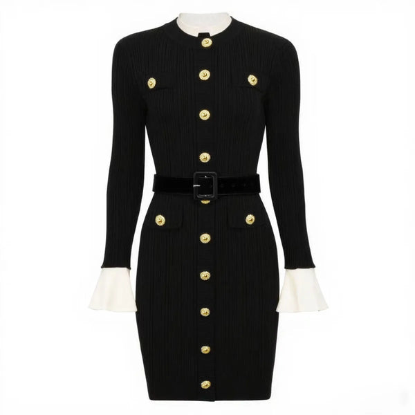 Brigitte Knit Mini Dress Winteres