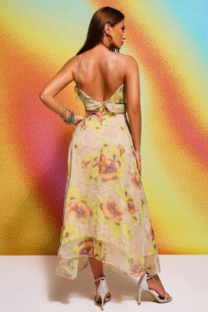 Dinaila Maxi Dress Winteres