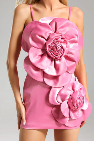 Brigida Mini Dress Winteres