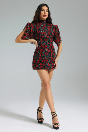 Sharla Mini Dress Winteres