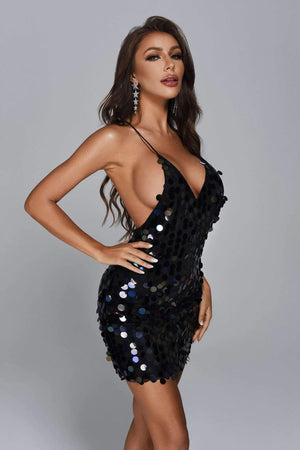 Lanaile Mini Dress Winteres