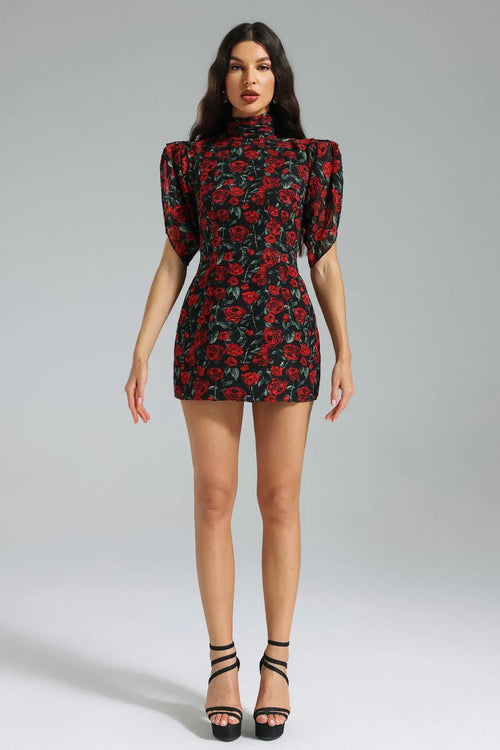 Sharla Mini Dress Winteres