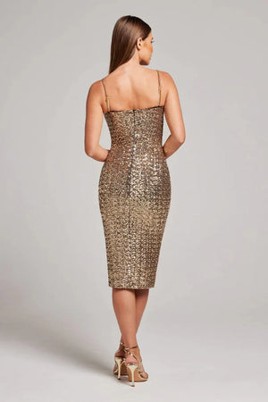 Aurelia Midi Dress Winteres
