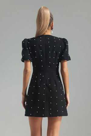 Siri Mini Dress Winteres