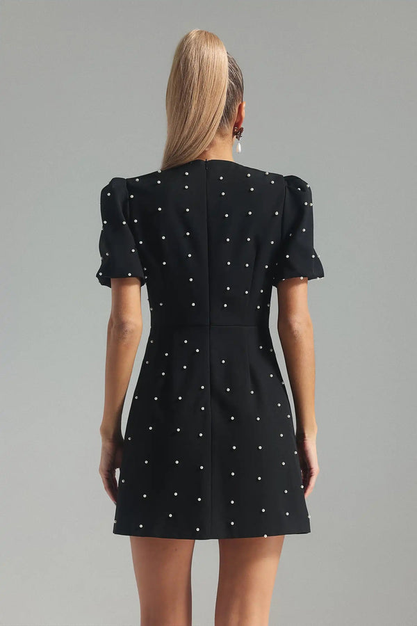 Siri Mini Dress Winteres
