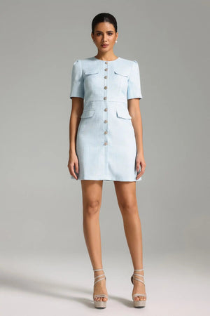 Ignacia Mini Dress Winteres