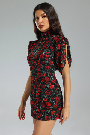 Sharla Mini Dress Winteres