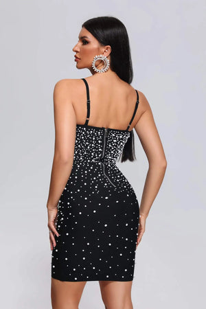 Evelyne Mini Dress Winteres