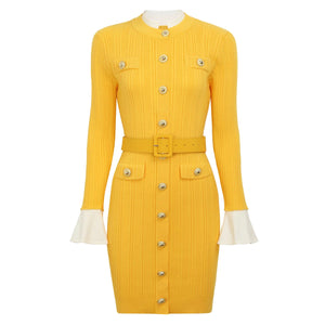 Brigitte Knit Mini Dress Winteres
