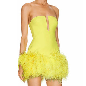 Livia Mini Dress Winteres
