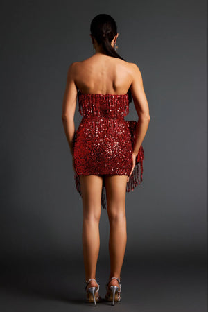 Raylen Mini Dress Winteres