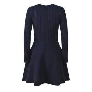 Fiona Knit Mini Dress Winteres