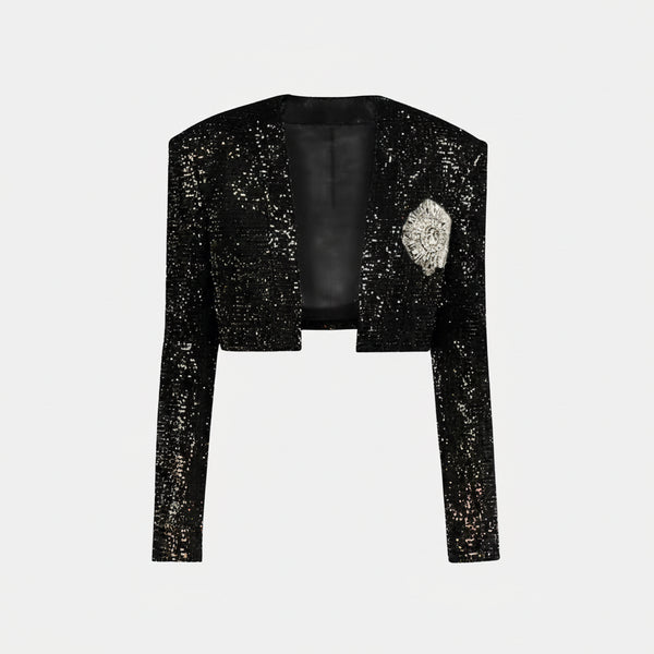 Sequined Set Dress and Blazer Winteres