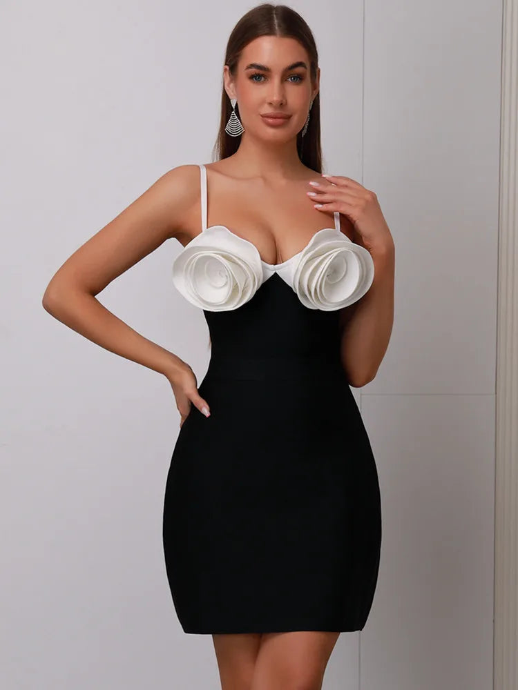 Hera Mini Dress Winteres