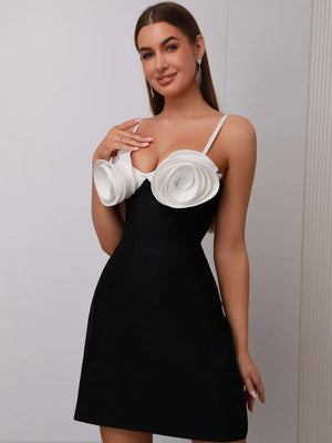 Hera Mini Dress Winteres