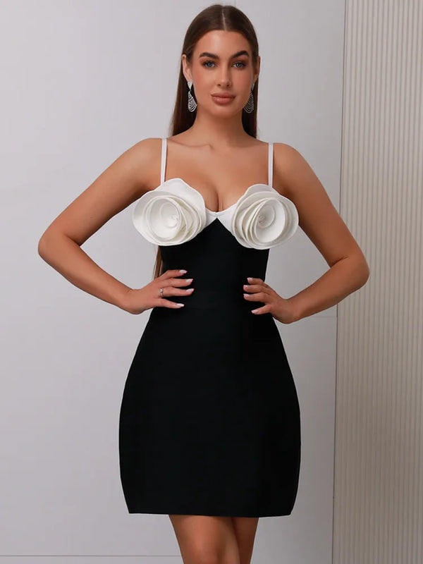 Hera Mini Dress Winteres