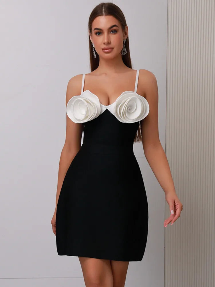 Hera Mini Dress Winteres