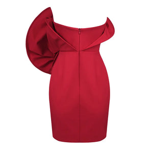 Synael Mini Dress Winteres