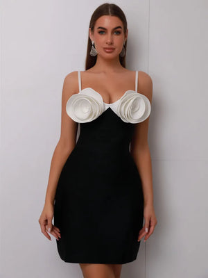 Hera Mini Dress Winteres